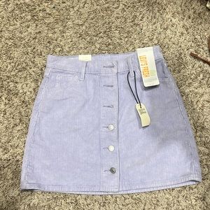 Levi’s skirt